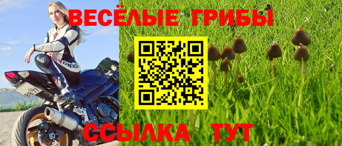 Красногорск  Псилоцибиновые грибы мицелий  Вход с VPN 