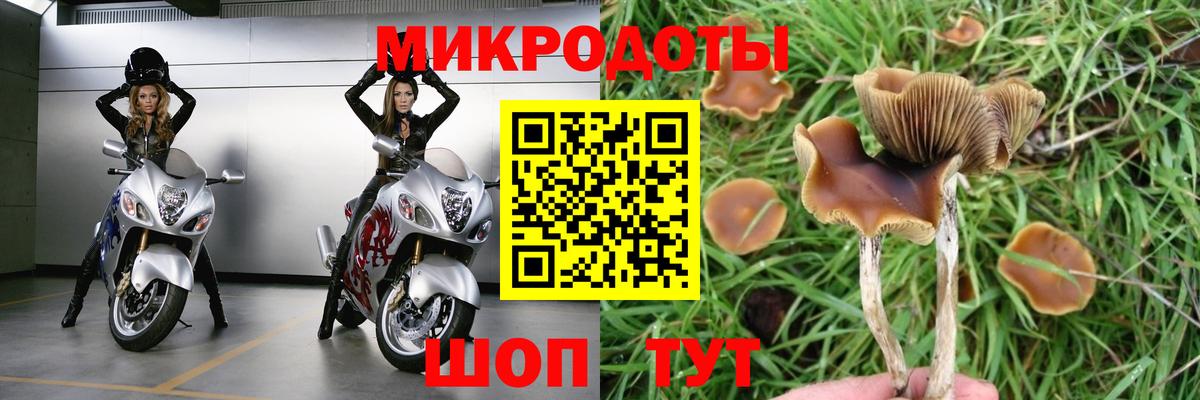 Галлюциногенные грибы мухоморы Красногорск